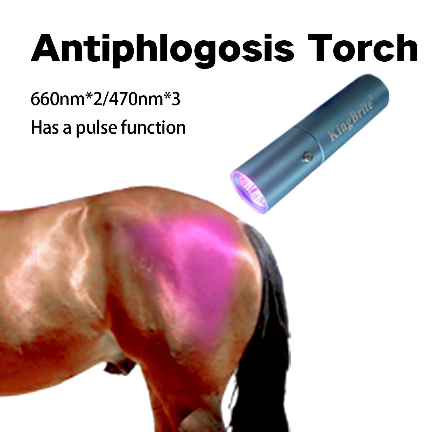 Red Light Therapy Torch 660Nm - ไฟฉาย LED แบบชาร์จได้สำหรับการบำบัดด้วยแสงสีแดง ขายส่ง 470nm 660nm