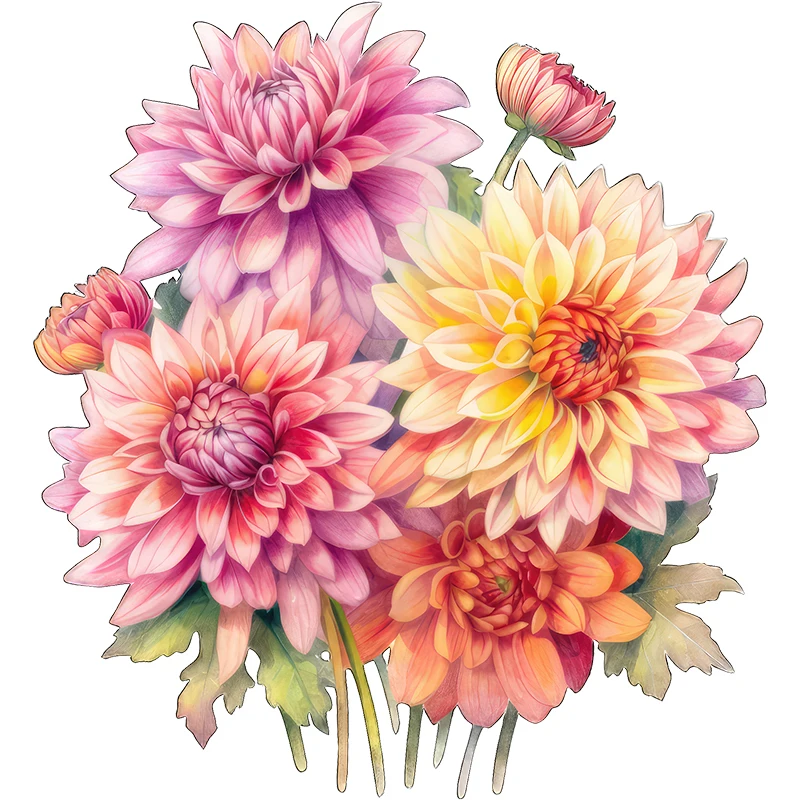 Three Ratels  Beautiful Dahlia art wall stickers for home decoration car decals