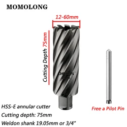 HSS-E Annular Cutter With 3/4