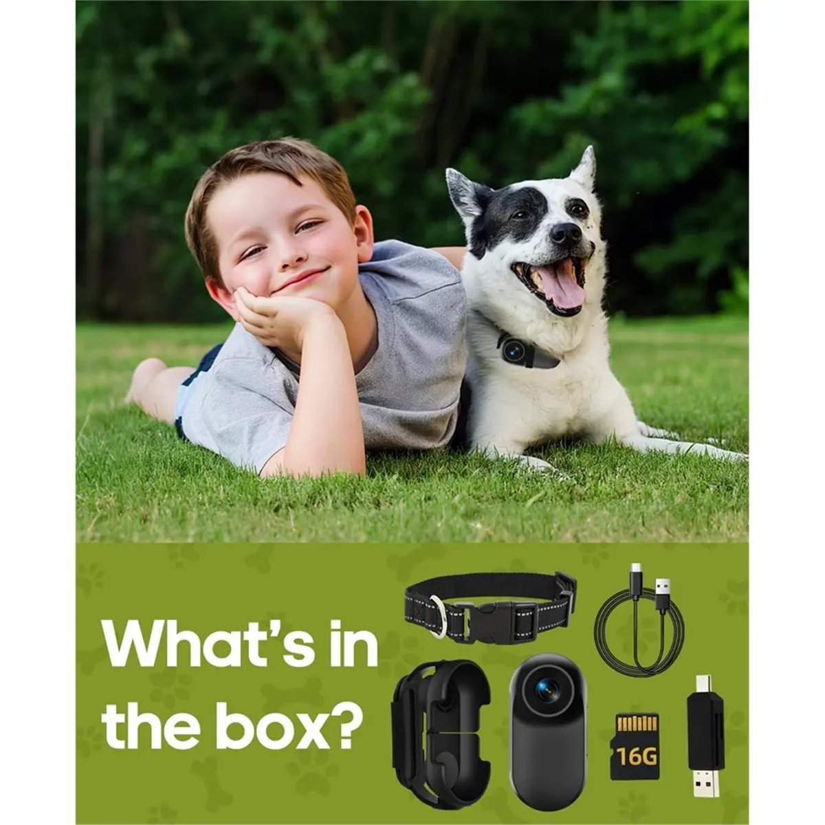 #43H Electronics Accessories,1080p HD Cat Camera Collar with Video Recordin (Black)