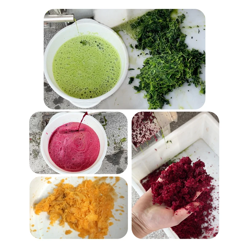 Kommerzielle Obst- und Gemüse-Entsafter-Maschine, Schrauben-Entsafter für Obst und Gemüse, industrielle Entsafter-Maschine