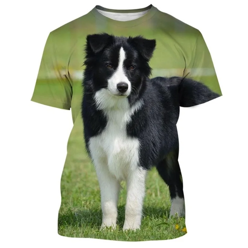 Fashion Cute Animal Dog Unisex Round Neck Casual Short Sleeve Tee Shirt Clothing Border Collie 3D Printed T-shirt For Men