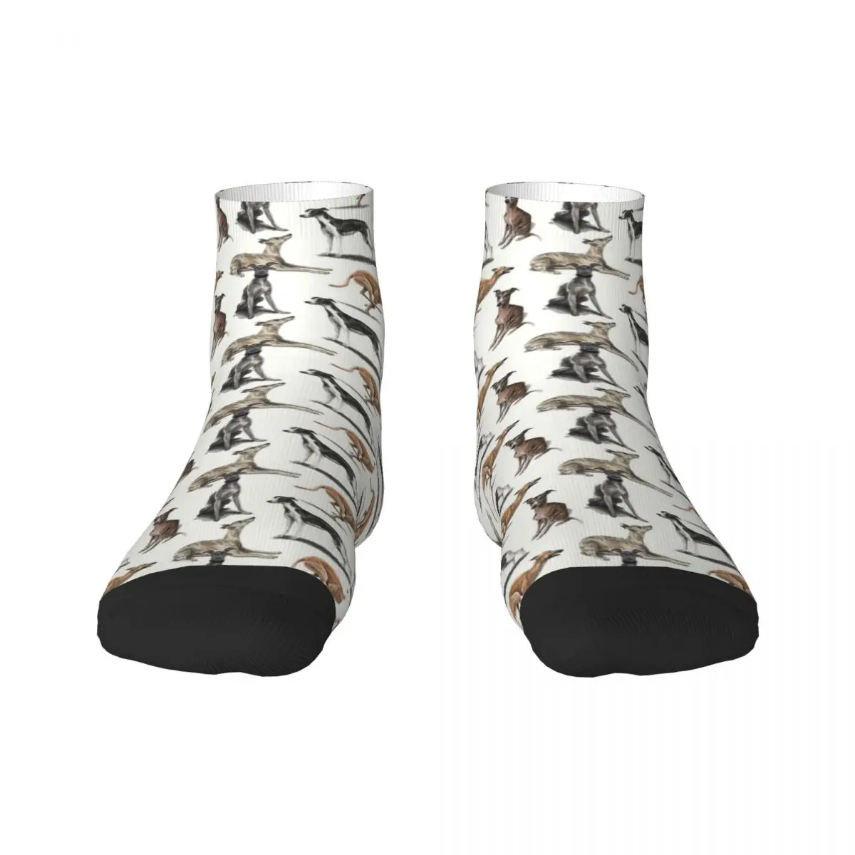 Fashion Printed The Whippet Socks for Women Men Stretchy Summer Autumn Winter Greyhound Sighthound Dog Crew Socks