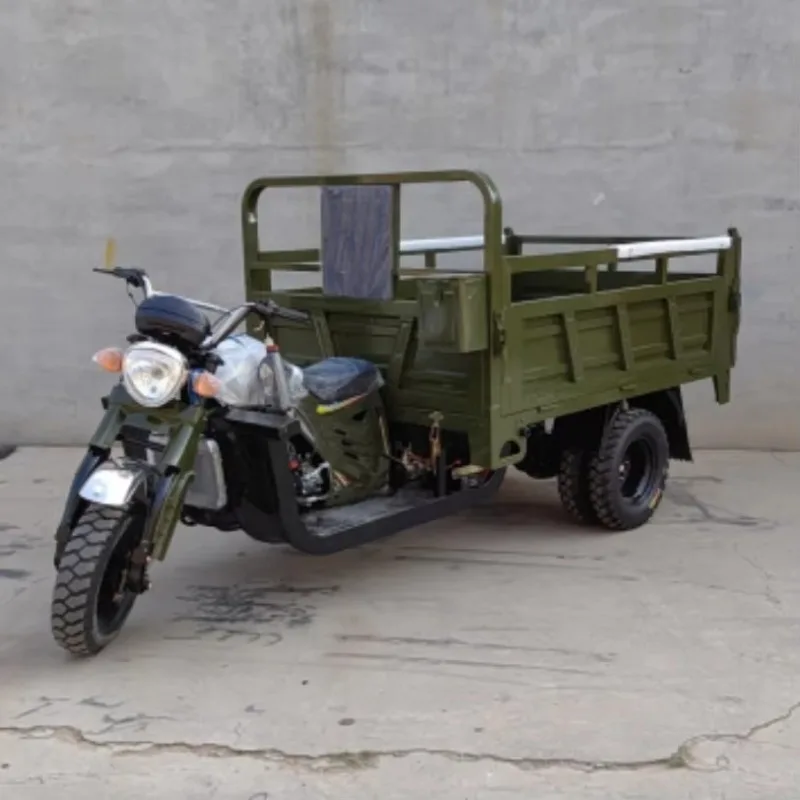 Hot Sale 3-Wheel Cargo Tricycle 1000W Motorized China Manufacture with 48V Motorcycle Type Electric Tricycle Three Wheel