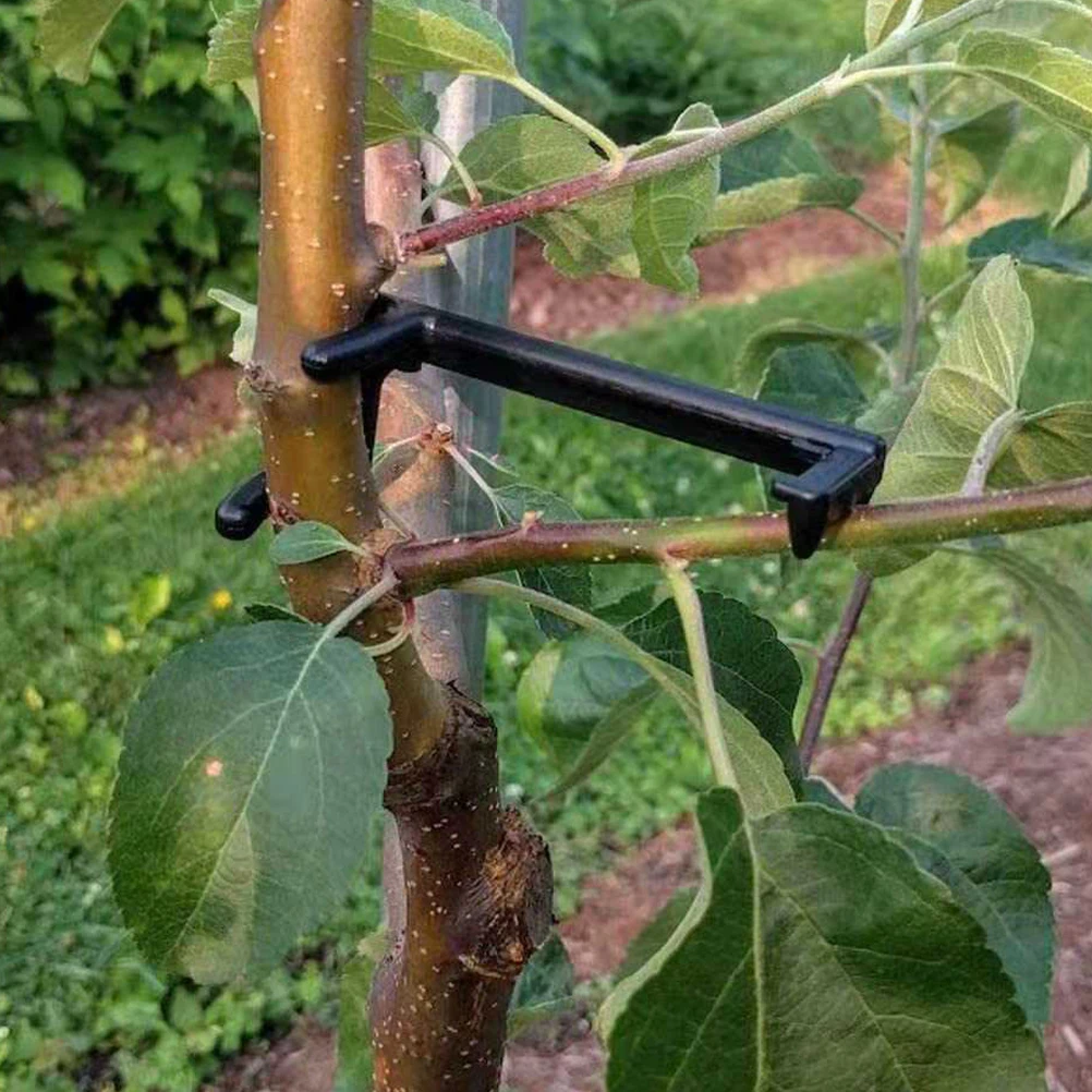 

20pcs Fruit Tree Branch Puller Set 10BlackSmall 10BlueLarge Adjustable Limb Spreaders Gardening Twig Clips Stem Trainer Plastic
