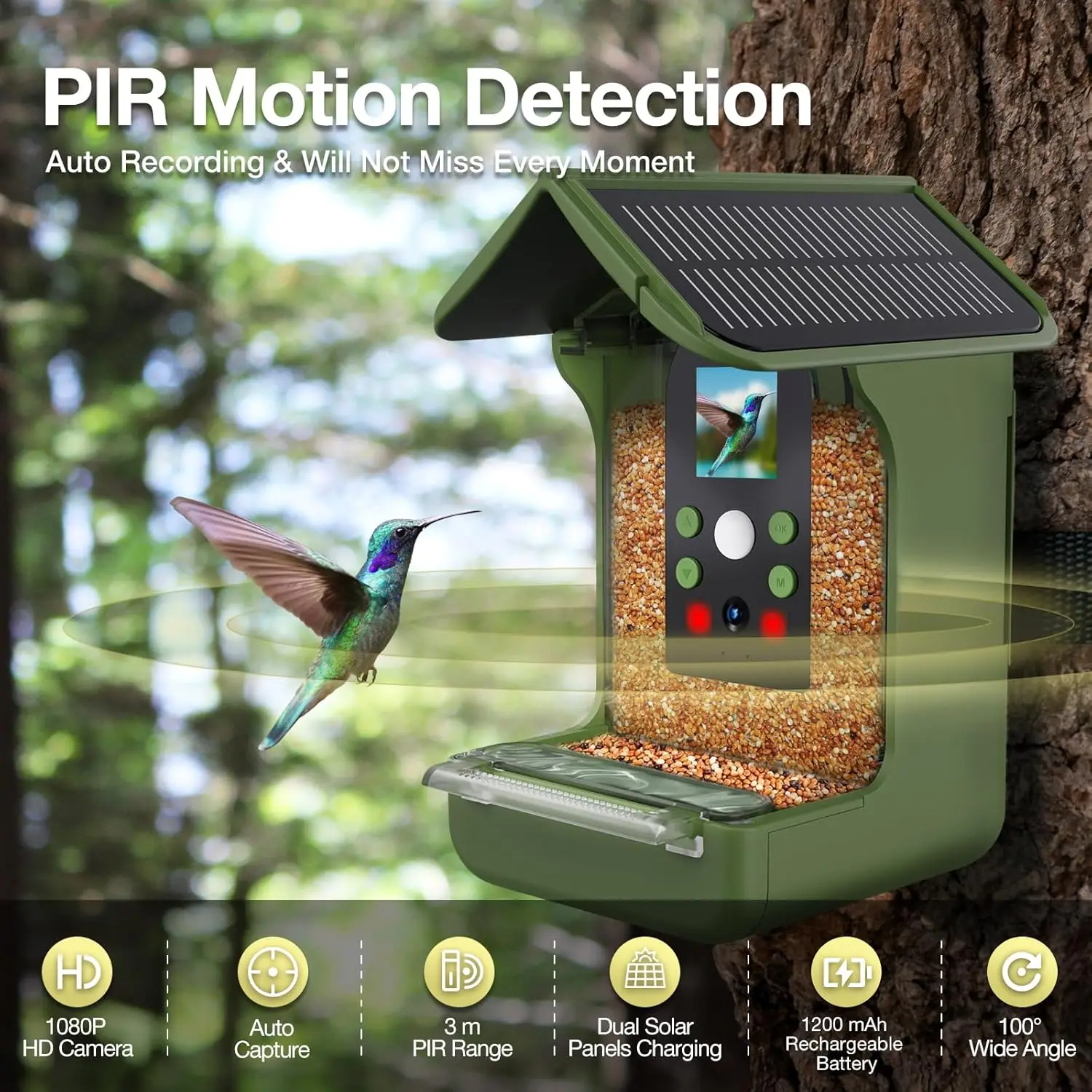 OEM ODM Smart Bird Feeder with Camera Auto Recording Solar Powered 1080p FHD Video WiFi & Microphone