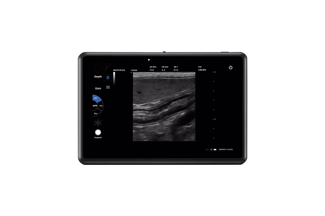 Veterinary Ultrasound Scanner A Sheep Horse Pig Farm Rectal Ultrasound