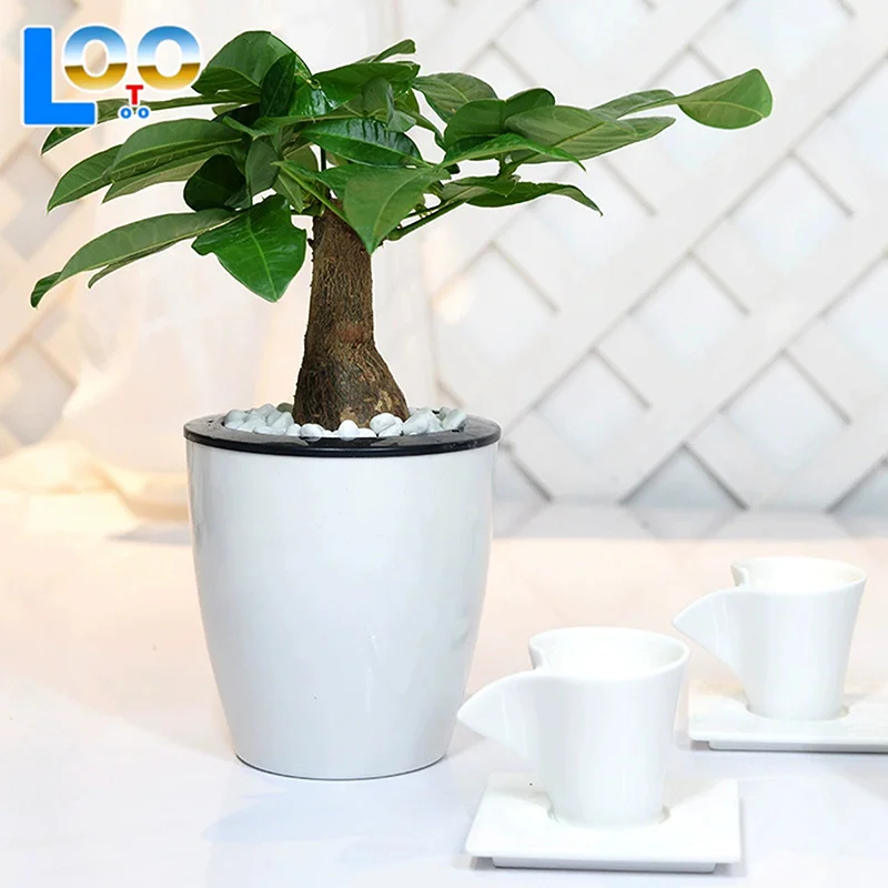 أصيص زهور متعدد المقاسات داخلي أوتوماتيكي لشفط الزهور وعاء عتبة النافذة