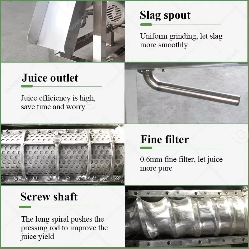 Mango Apple 220V Squizing Hydra Extractor Juicer Line Commercial Coconut Milk Maker Machine Juice Machine