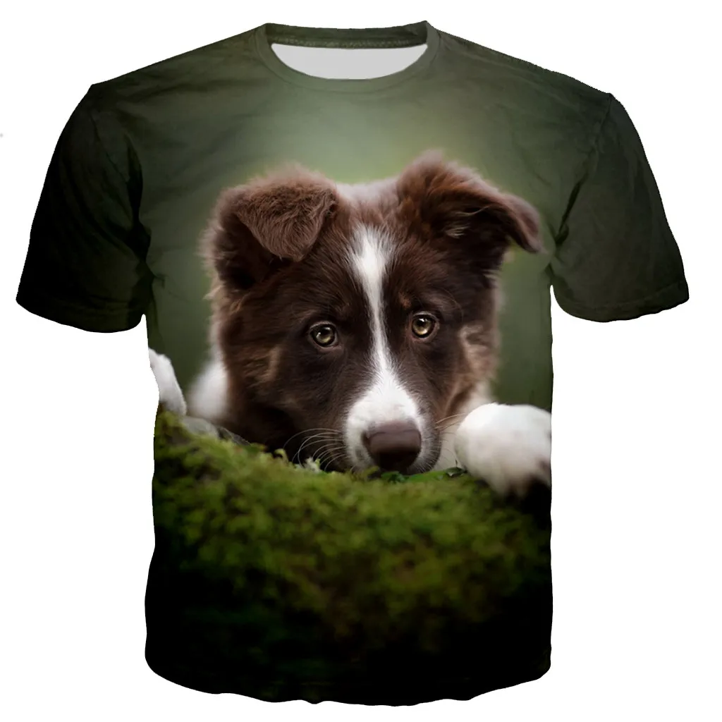 New Fashion Border Collie Male/Female 3d Printed T-shirt Casual Harajuku Style Street Sports Breathable Fitness Fabric