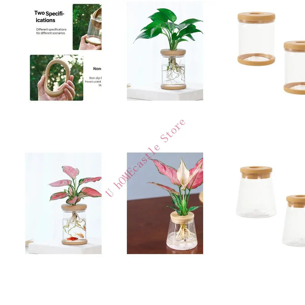 63HF High Transparency Hydroponic Flower Automatically Absorb Water Transparency Resin Plastic For Classroom Demonstration