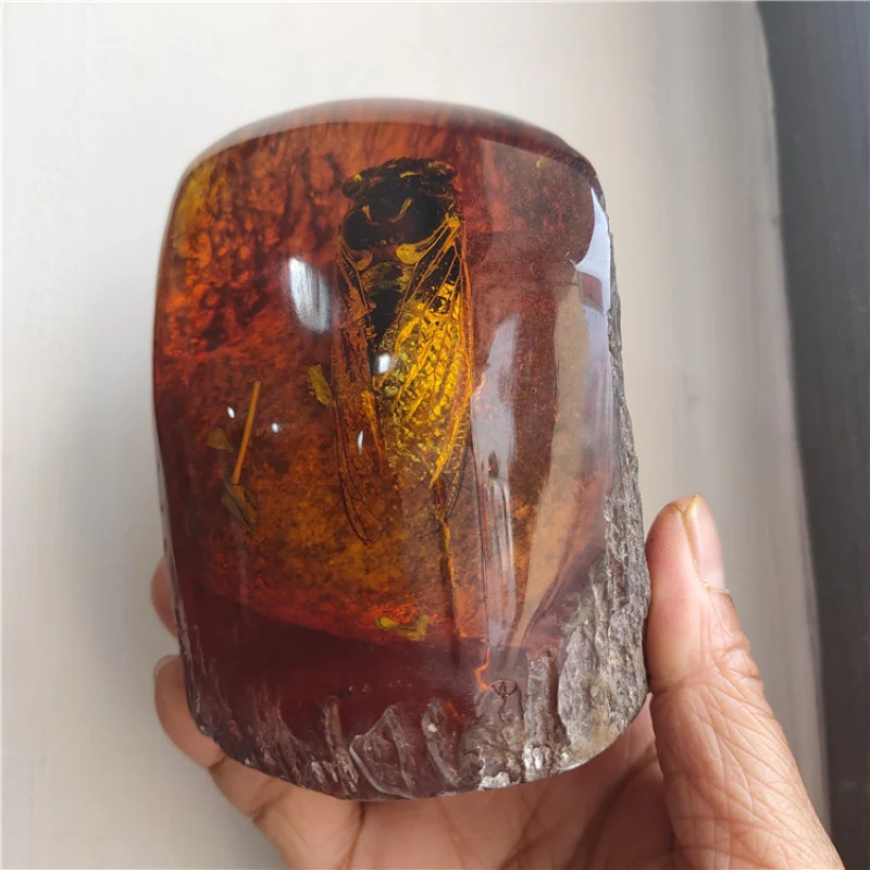 Artificial Amber with Insects Scorpion Cicada Crab Gecko Insect Specimen Tree Stump Ornament