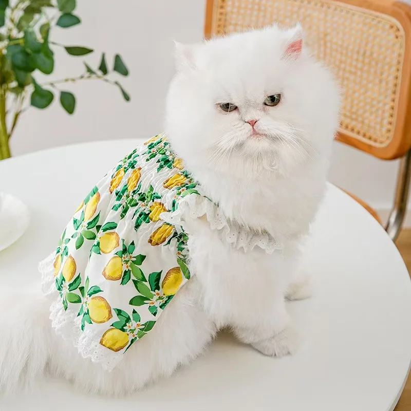 Pet Clothes Cat Puppy Princess Dress  Striped Plaid Dresses with Bow for Cats Kitten Dog Sphynx Clothing