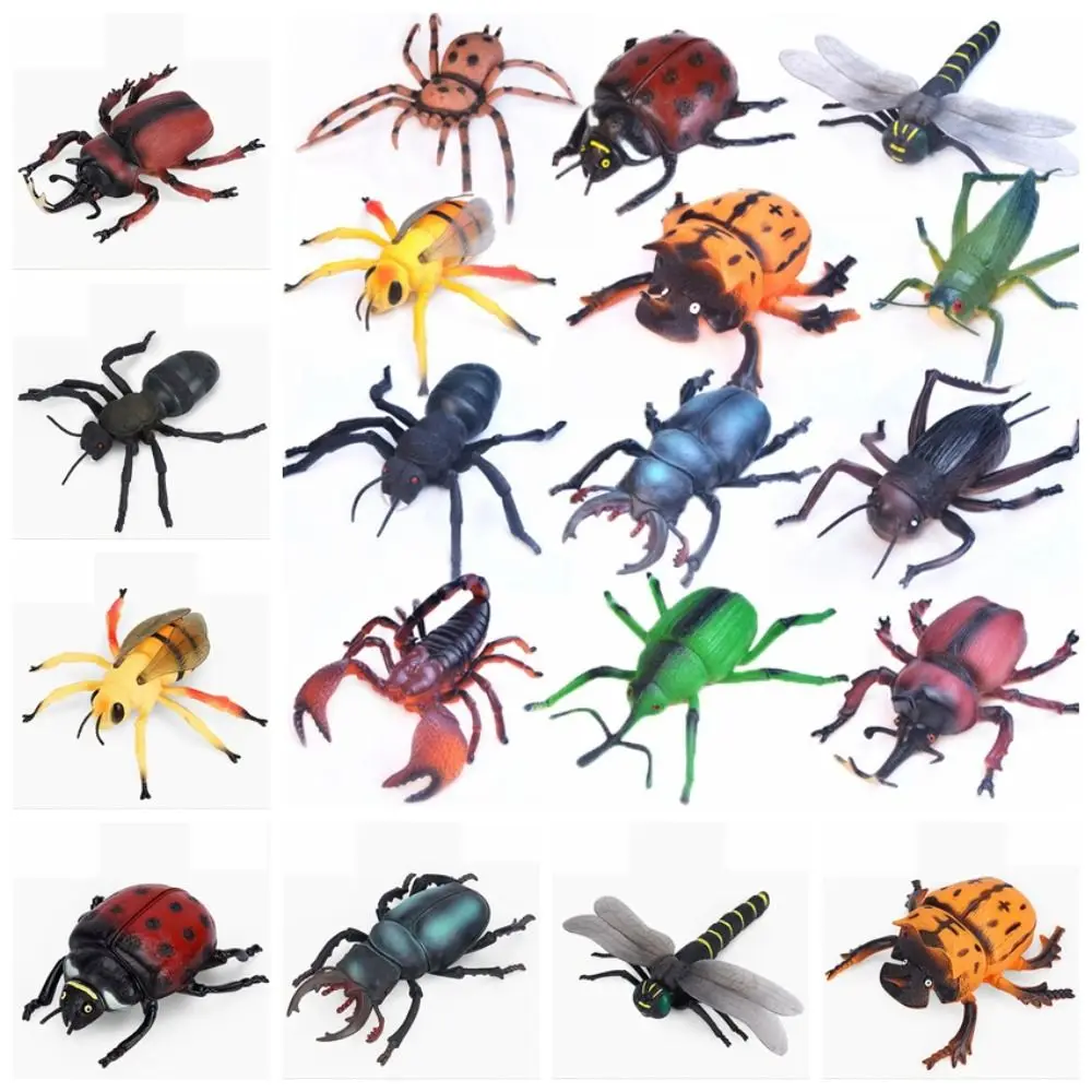 Science Toy Spiders Simulated Insect Model Cricket Simulation Simulation Wildlife Model Insect Model PVC Children Gifts