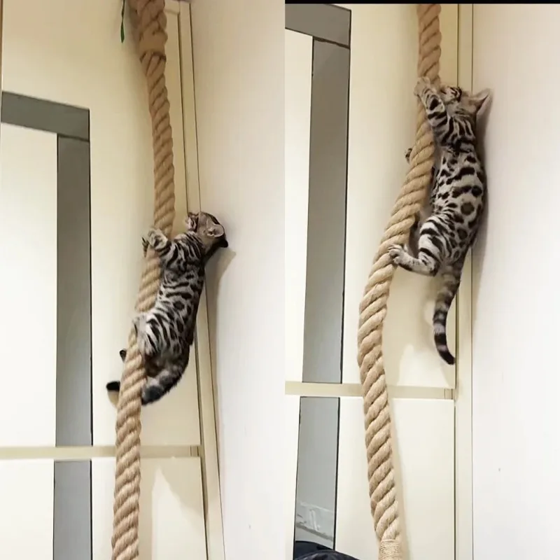 Corde d'escalade pour chat avec crochet, à fixer au mur, jouet pour chaton, corde d'escalade pour chat, convient aux chats d'intérieur et d'extérieur