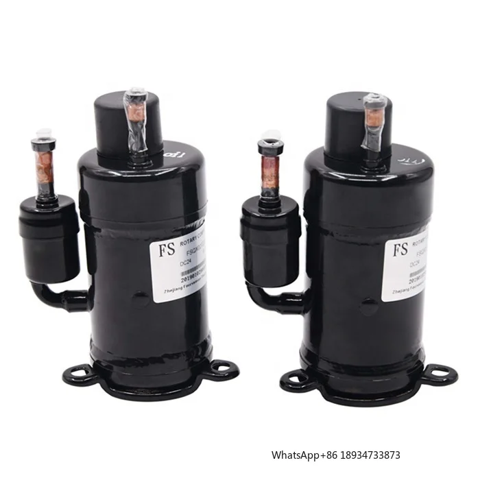 R290 DC 24 V 600 W Twin Pump Inverter Rotary AC Kompressor für Mini-Klimaanlage Chiller Micro Cooling System