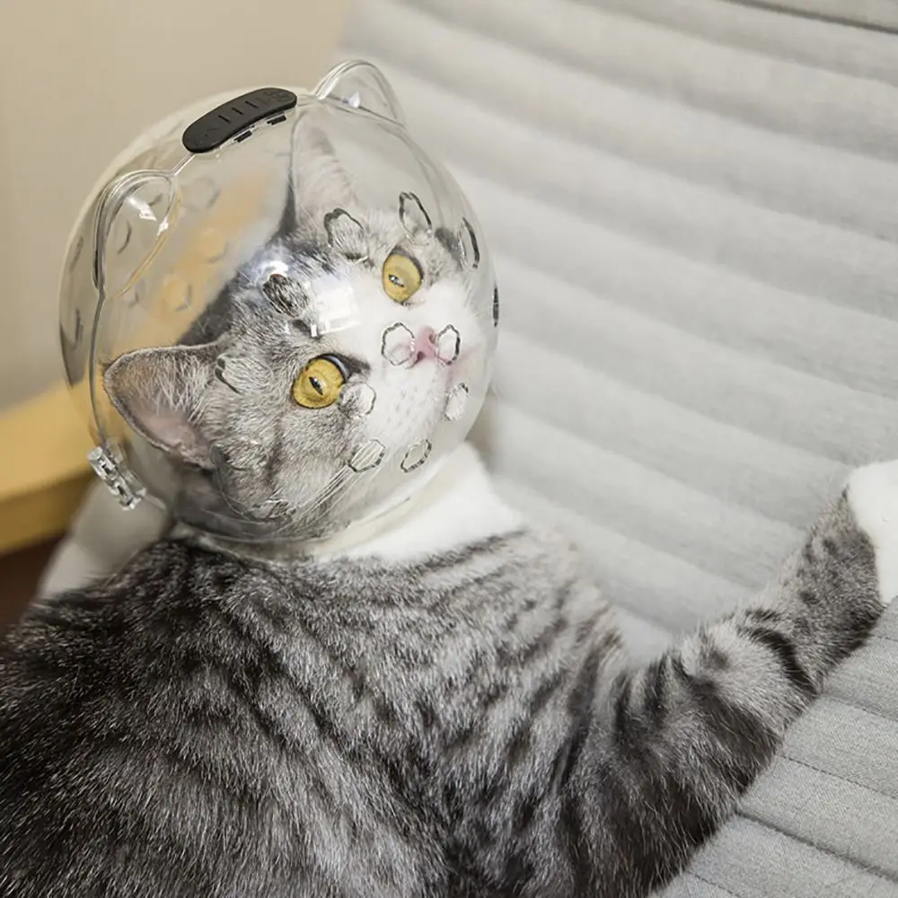 Thumbnail 4 - #32 Pet Muzzles Comparison Guide