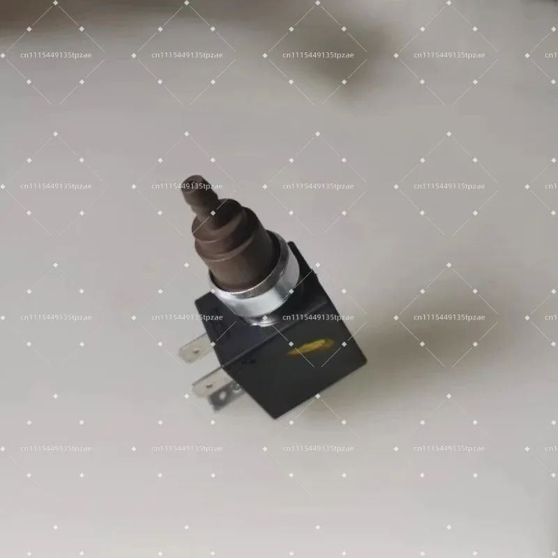 Steam Mop Electromagnetic Pump for Karcher replacement Self-priming pump SC2 SC3