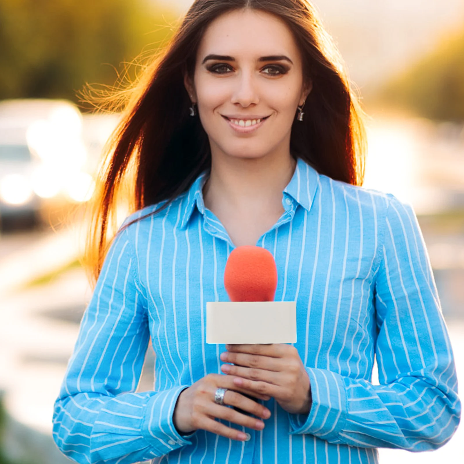 

2Pcs Microphone Logo Station Creative ABS Microphone Marks Portable Mic Station Logos Long Lasting Use Useful Mic Logo Flag