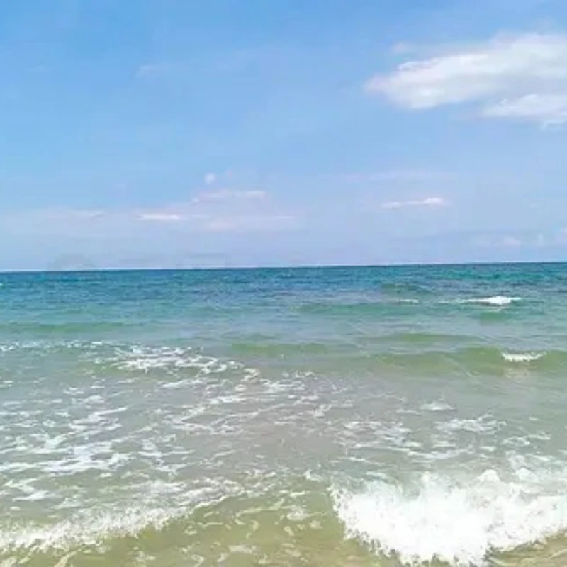 GEPRC SOMA 1.2G/1.3G Antenna17CM Long Version Suitable RHCP SMA RC FPV Quadcopter Drone Freestyle 1260-1360MHz Accessories Parts