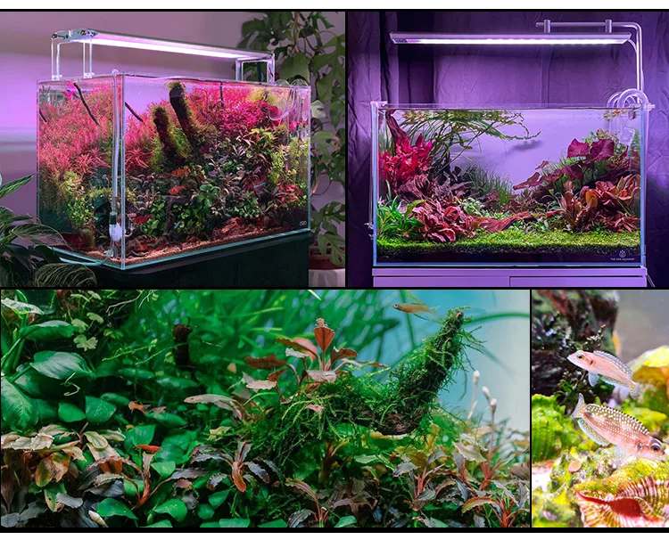 WEEK AQUA M Series Water Grass Lamp Straddle Headlight Panel Button Version APP Timing Dimming RGB-UV LED LAMP