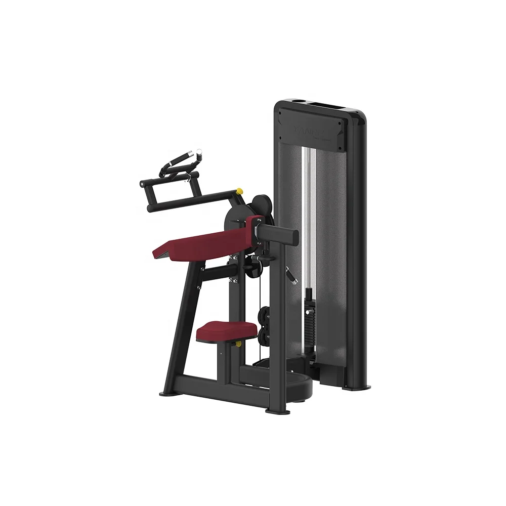 

Hot Seller Gym Equipment High Quality Steel Biceps/Triceps Machine
