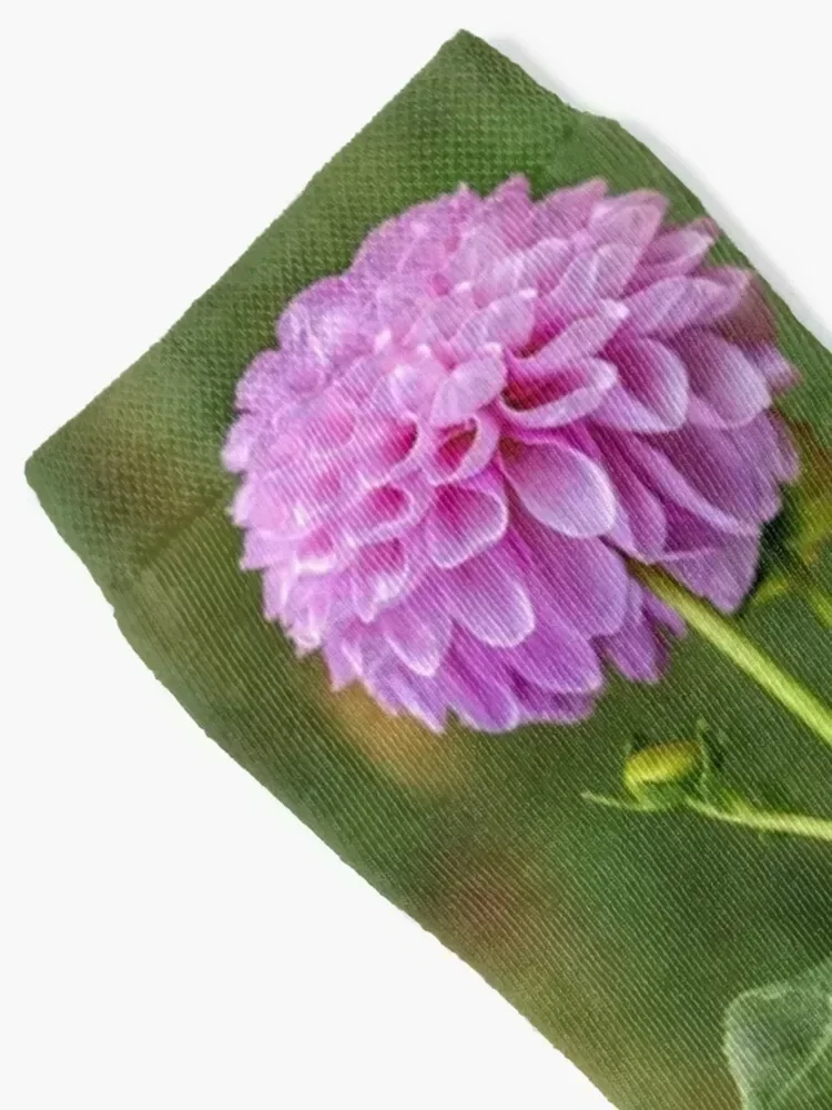 Perfect Purple Dahlia Socks designer christmas gifts tennis colored Ladies Socks Men's