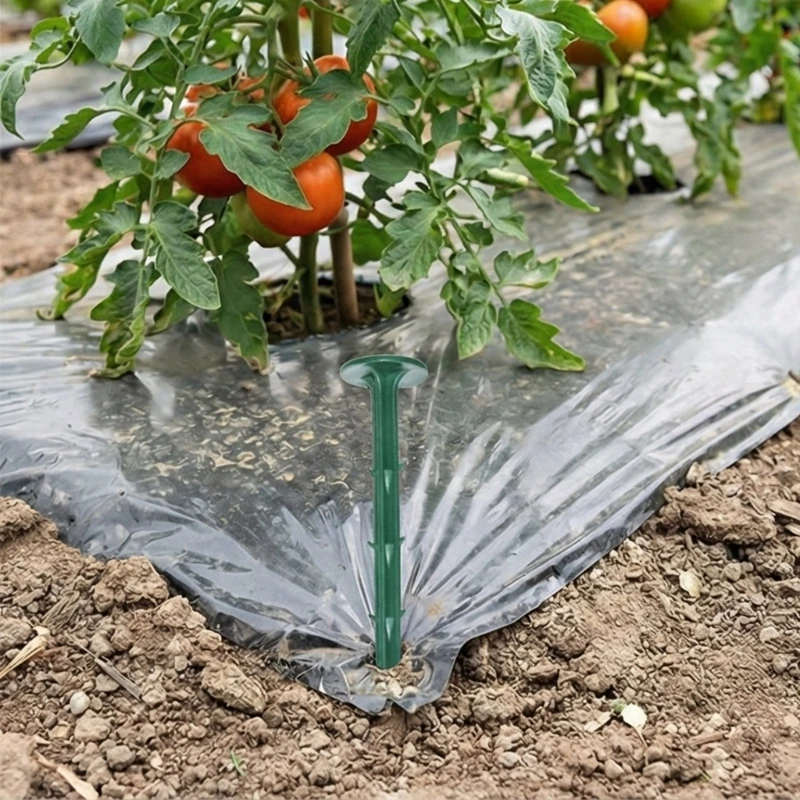 

50 шт. пластиковая садовая площадка садовый навес защита от травы ткань для удержания ландшафтной ткани окантовка газона HX6C