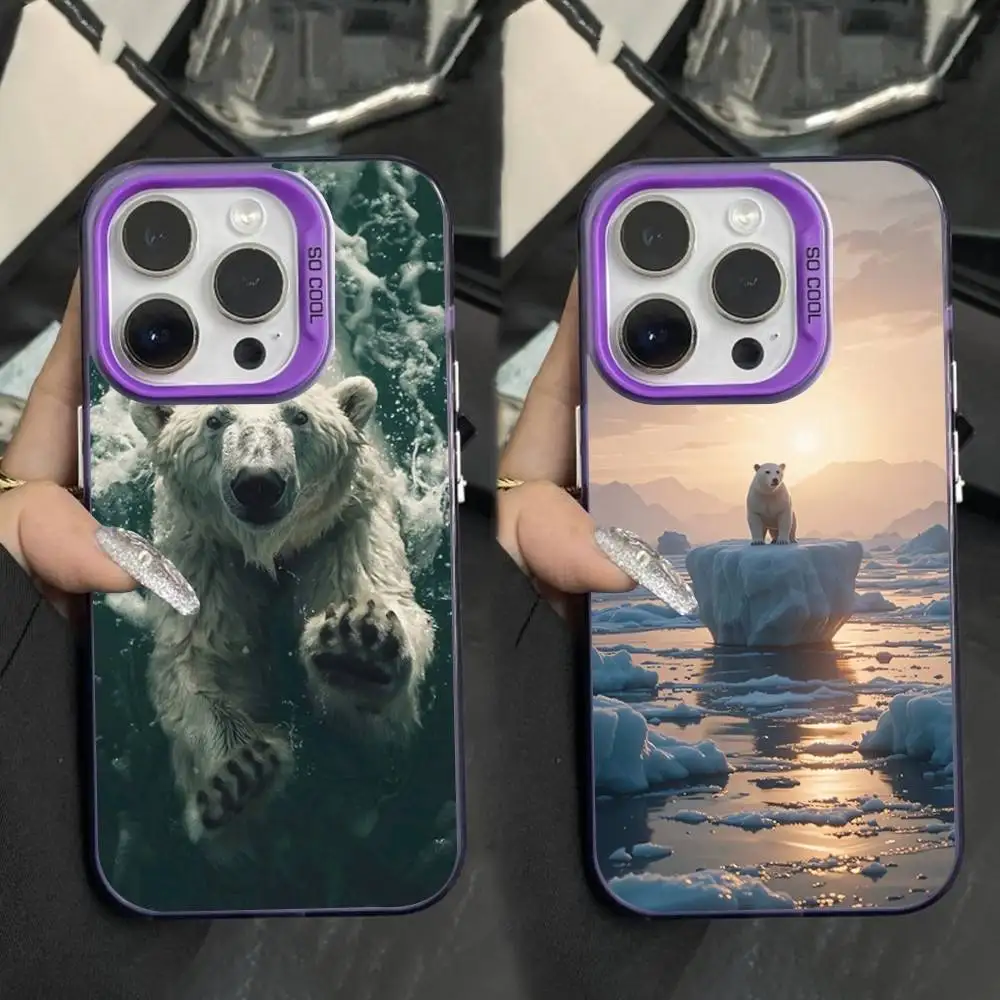 Animal Cute Polar B…