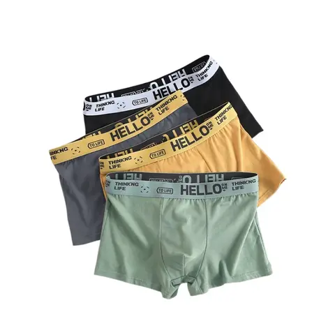 4Pcs 남자 속옷 남자 복서 섹시한 속옷 편안한 통기성 패션 소년 팬티 속옷 Boxershorts 남자