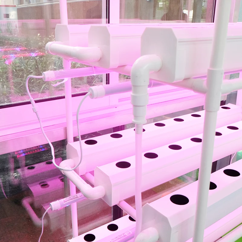 Complete NFT Gully Hydroponic Growing System