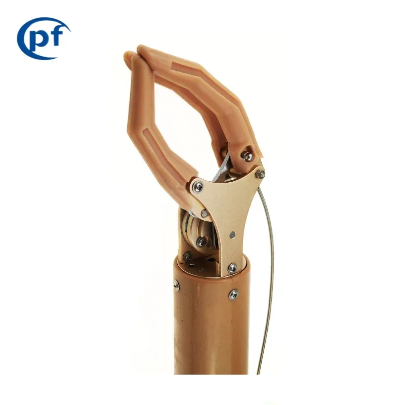 Prosthetic Hand Fore Arm Cosmetic Hand System