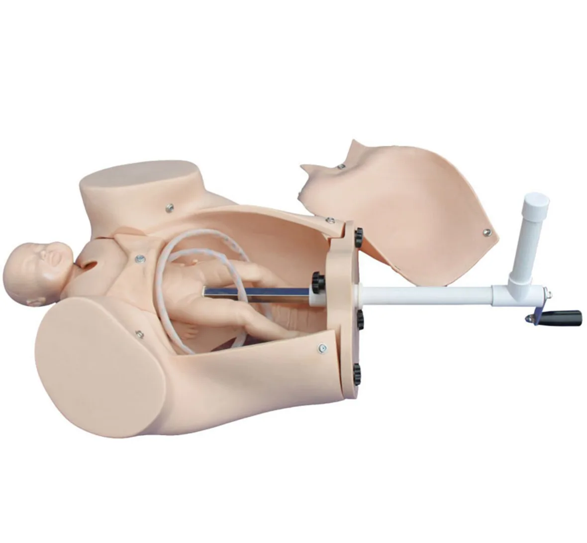 

Medical Educational Childbirth Simulator & Delivery Course Model