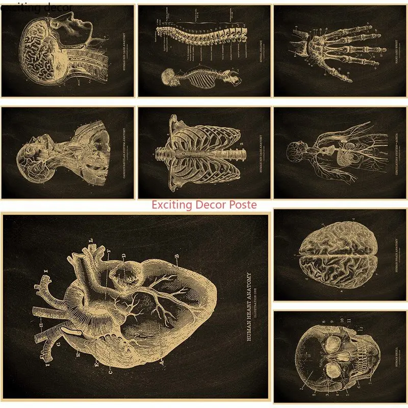 Anatomical Skeleton Chalkboard Poster Kraft Paper Posters Vintage Home Medicine Student Decor Medical Art Wall Painting Poster