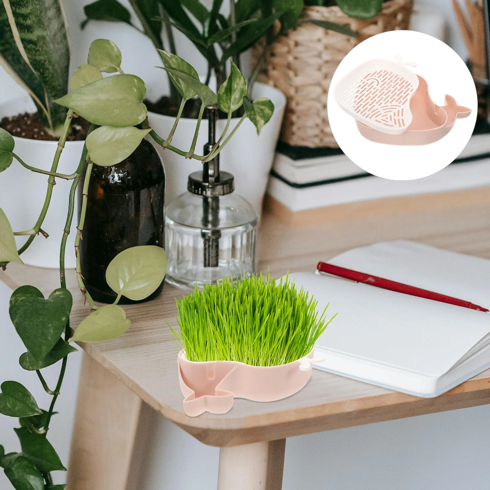 

Cat Grass Planting Box Hydroponic Soilless Planter Tray Household Container for Indoor Durable Plastic Growing Box for Cats
