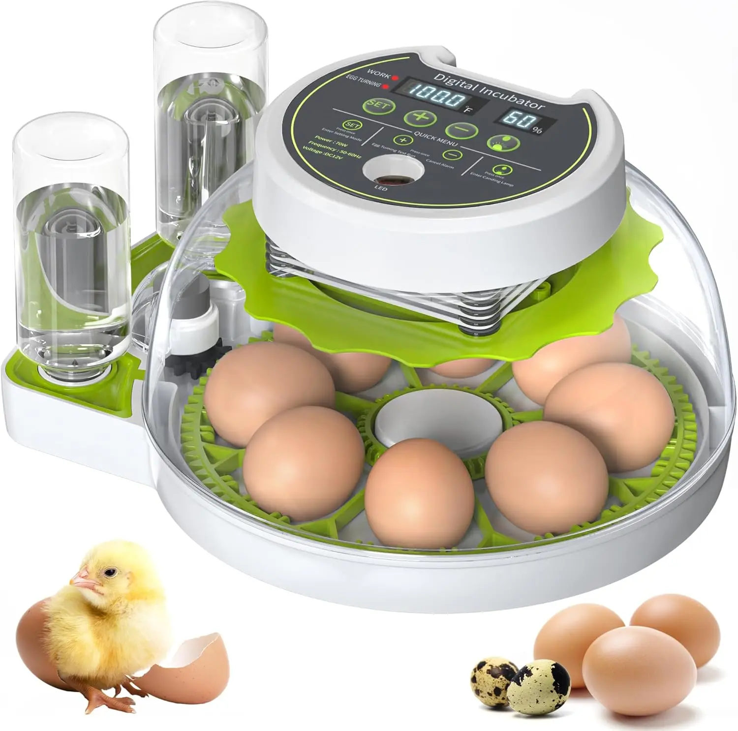 

Digital Egg Incubator 12 Eggs With Auto Turning, LED Display, Fan Assisted Airflow, Stable Temp Humidity For Chicken Duck Quail