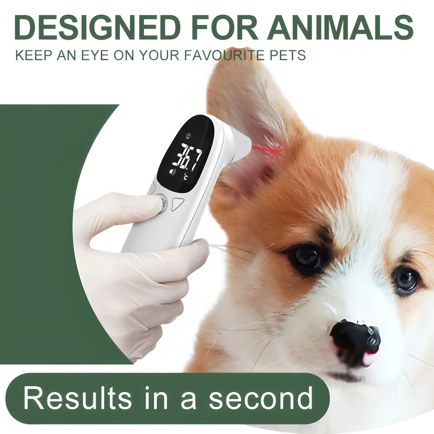 #29 Trending Pet Thermometers Right Now