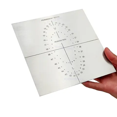 डेंटल स्टेनलेस स्टील रबर डैम शीट पंच होल बोर्ड बैरियर पोजिशनिंग टेम्प्लेट एंडोडॉन्टिक पंच होल प्लेट डेंटिस्ट टूल्स 6 best sales रबर डैम पंच - №4