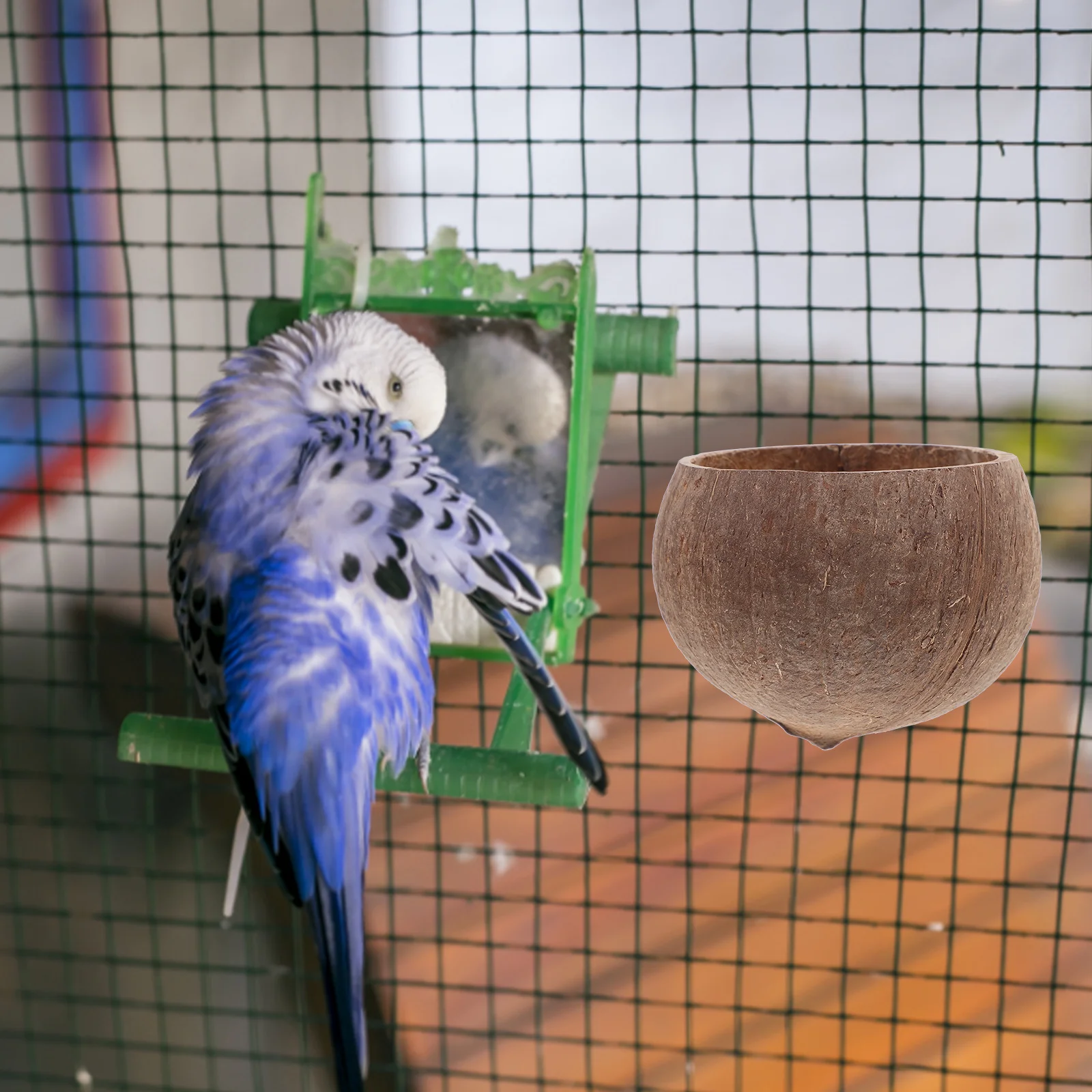 

2pcs Coconut Shell Feeder For Small Animals Pet Feeding Bowl Chew-Resistant Deep Bottom Hamster Food Storage Bowl Cage Decor Pet