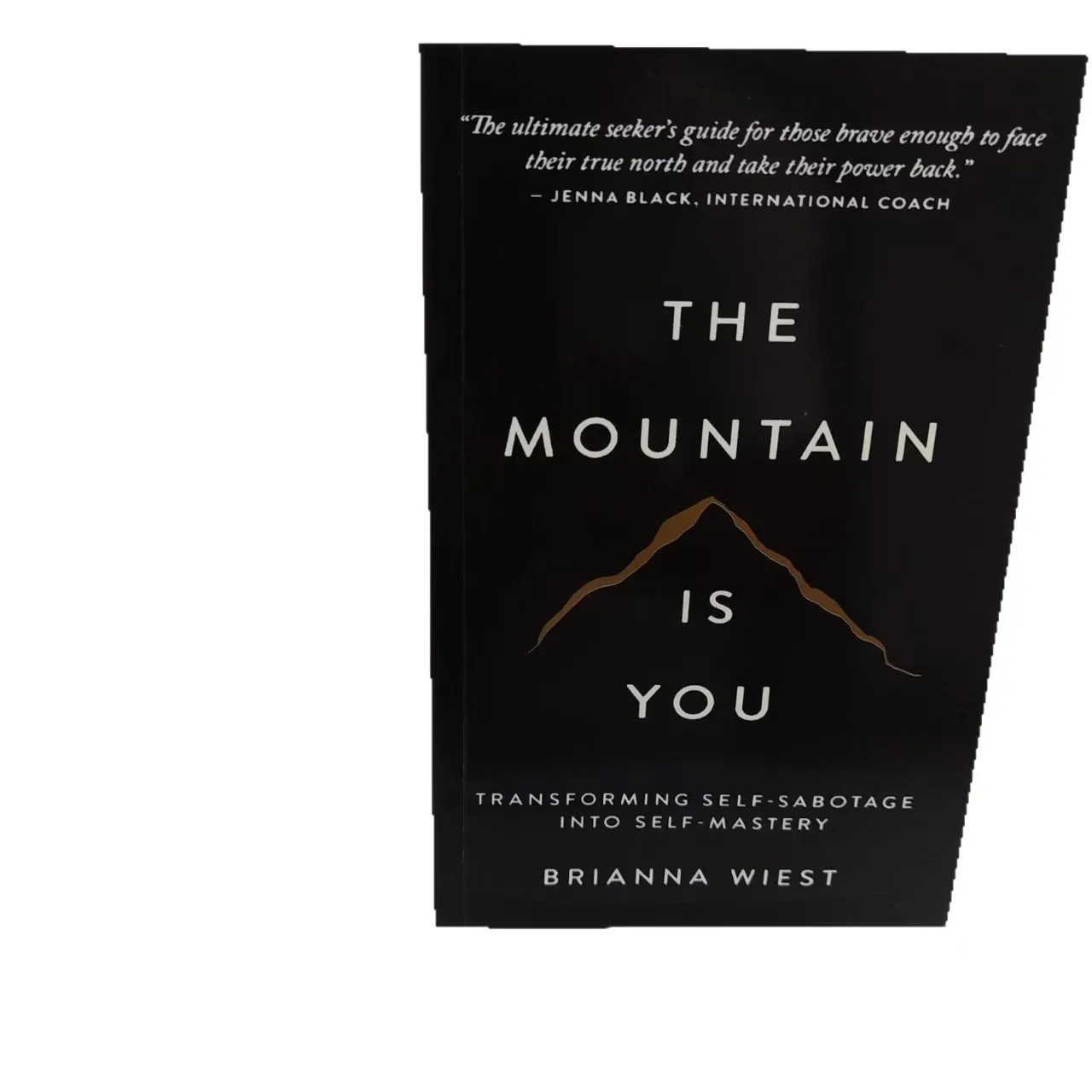 

Original English Version The Mountain Is You of Classic Novel