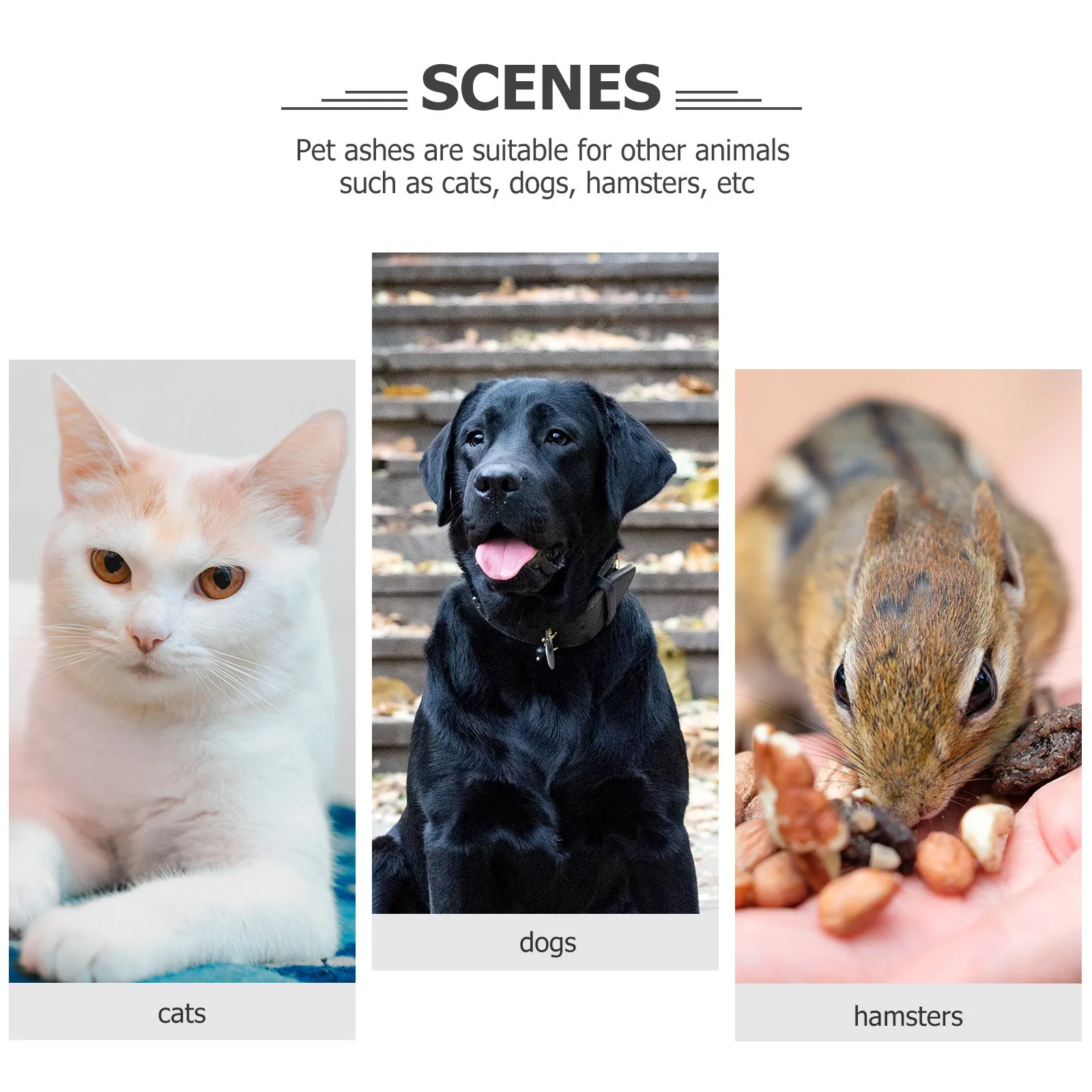 

Simple Design Biodegradable Ashes Urn for Human and Pet Cremains Vent Design Easy to Use Ecofriendly Scattering Urn