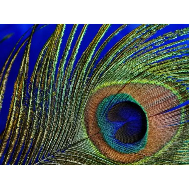 

FPV-инфракрасная камера для ночного видения без освещения с AI BOX, 0 люкс, Super WDR, 1500TVL, 120° ° FPV-дрон с черно-белым датчиком FOV