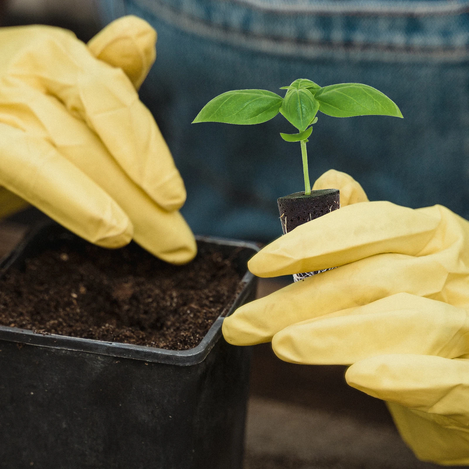 

12Pcs Biodegradable Seed Moisture Retaining Nutrient Block for Garden Supplies Indoor Outdoor Plants