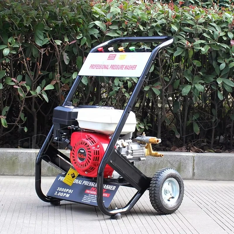 

Euro5 Backlash Start 6.5hp 170bar 2200 Psi 9 Lpm 2.4gpm Automotive Gasoline Pressure Washer