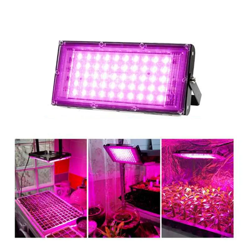 식물 LED 성장 램프 500W 전체 스펙트럼 식물 램프 온실 성장 조명 배선