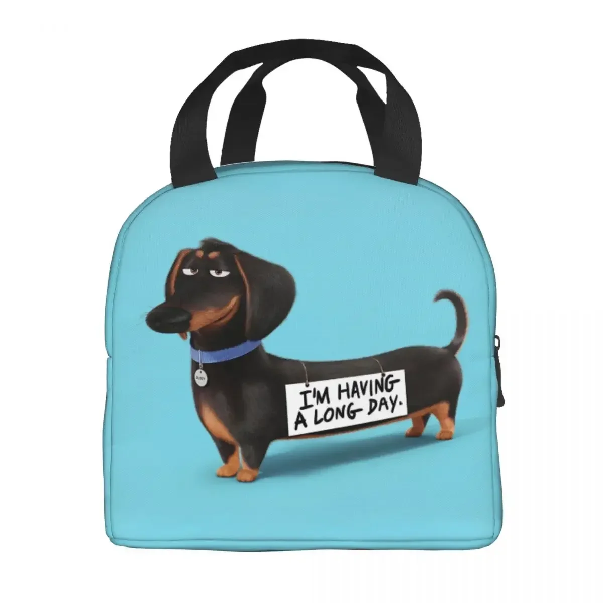 Dachshund Dog Insulated Lunch Bag for Women Waterproof Sausage Wiener Badger Thermal Cooler Lunch Box Office Work School