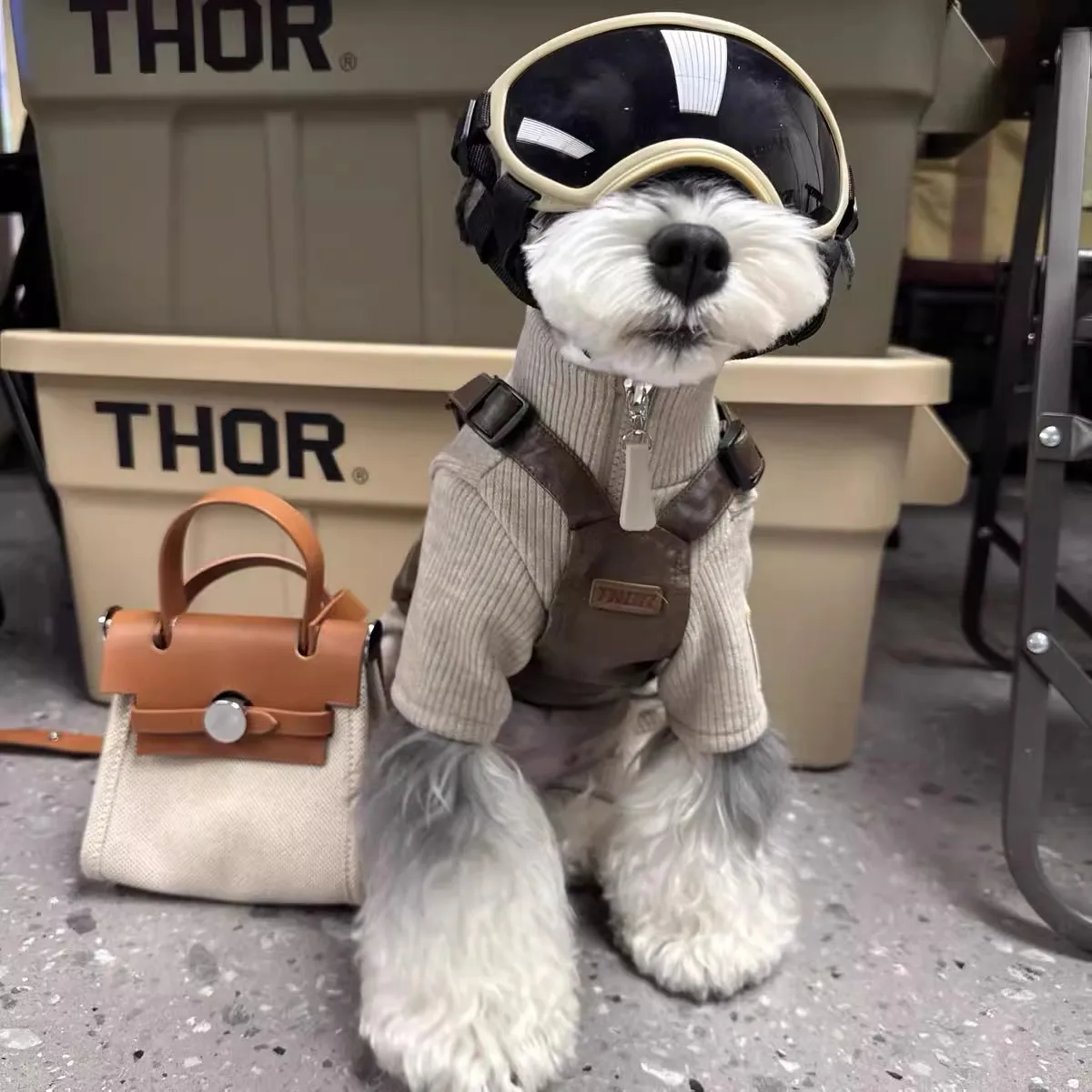 

British Fashion Italian Gentleman-Style Pet Outfit - Dog'S Sweater And Coat