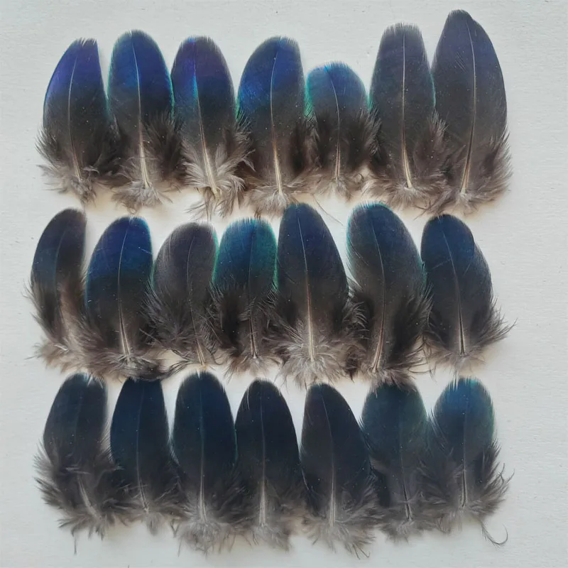 20Pcs/lot!4-10cm long Rare BLUE PEACOCK PLUMAGE WING FEATHERS LOOSE PEACOCK FEATHERS for Making Handicrafts