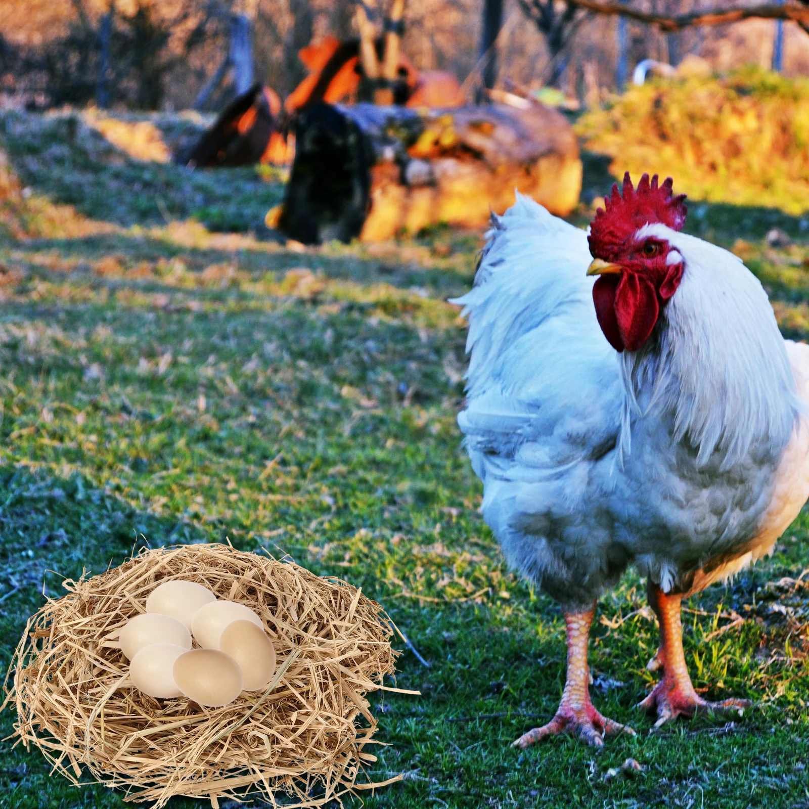 

Half Pound Nesting Shredded Straw Chicken Coop Bedding Pads Egg Laying Mat Warm Comfortable Design Non Piercing Bird Cage Nest