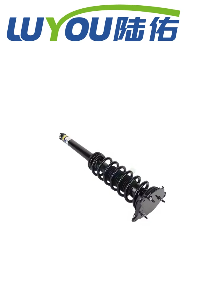 101562000E LUYOU Rear shock absorber two drives For Tesla Model MS 12-16